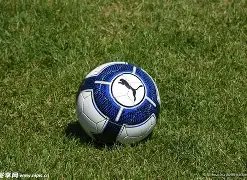 国足,力克对手,喜迎胜利,开云全站官网,开云全站,开云体育,开云代理,开云平台