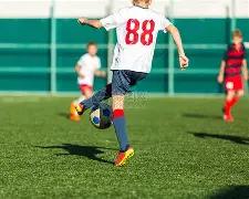 李月汝加盟,加拉塔萨雷,助力土超豪,开云全站官网,开云全站,开云体育,开云代理,开云平台