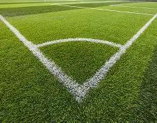 监控曝光活,鸡惨食,埃弗拉坦承,开云全站官网,开云全站,开云体育,开云代理,开云平台