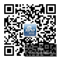 巨头争霸升,谷歌,新版本,开云全站官网,开云全站,开云体育,开云代理,开云平台
